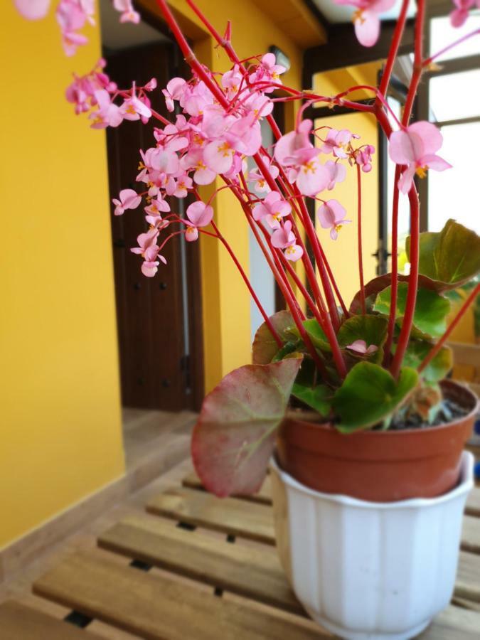 Bilona - La Colina Arnuero Exterior foto
